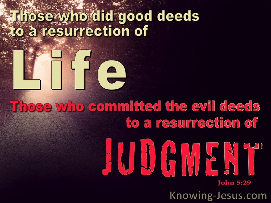 John 5:29 Life or Judgement (red)